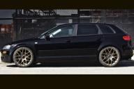 AUDI A3 2003 ONWARDS NURBURGRING RF MATTE BRONZE